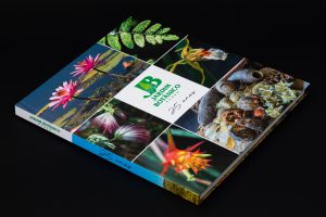 AAJB - Jardim Botânico