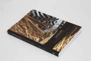 Editora Arche